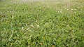 DSCN0744