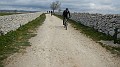 DSCN0745