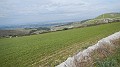 DSCN0748