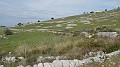 DSCN0759