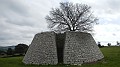 DSCN0792