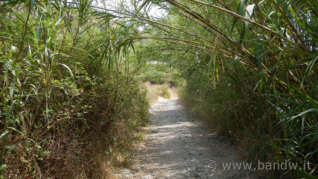 DSCN8886.JPG -                                