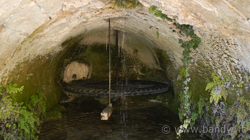 DSCN0007.JPG -                                