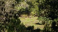 DSCN0002