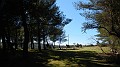 DSCN9964