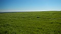 DSCN9985