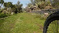 DSCN0244
