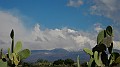 DSCN0249