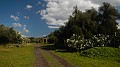DSCN0251
