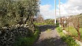 DSCN9881