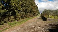 DSCN9884