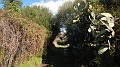 DSCN9885