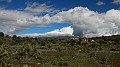 DSCN9890