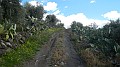 DSCN9891