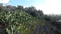 DSCN9892
