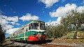DSCN9894