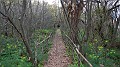DSCN0176