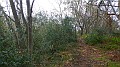 DSCN0181