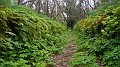 DSCN0182