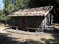 DSCN6291