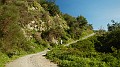DSCN4130