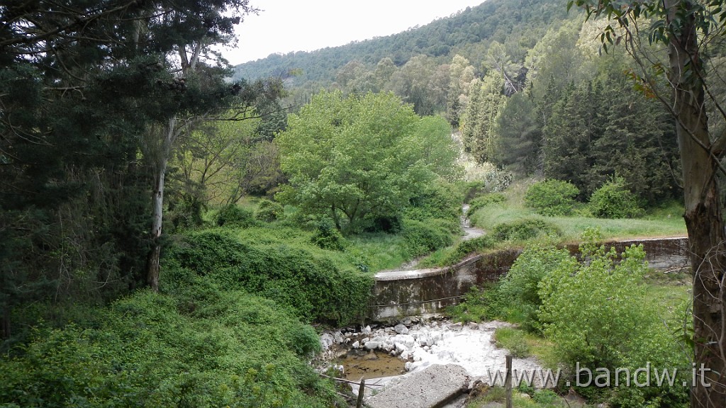 DSCN3042.JPG -                                