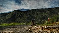 DSCN7953-01