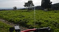 DSCN7954