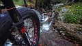 G1124044_1542455862476_high-01