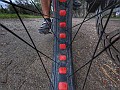 G1224133_1542455862476_high-01