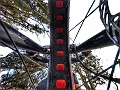 G1244152_1542455862476_high-01