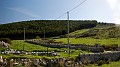 DSCN8110