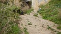 DSCN0888