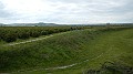 DSCN0900