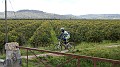 DSCN0902