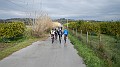 DSCN0906