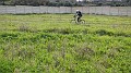 DSCN0920