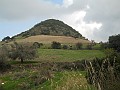 DSCN8664