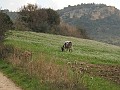 DSCN8665