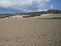 DSCN8671