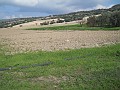 DSCN8672