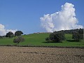 DSCN8675
