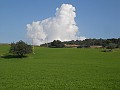 DSCN8676
