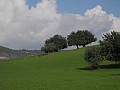 DSCN8677
