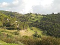 DSCN8678