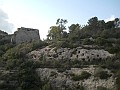 DSCN8683