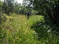 DSCN4752