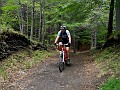 DSCN4779