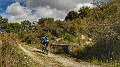 DSCN8619-01