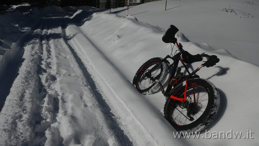 DSCN5807.JPG - La prima vera neve in Fat Bike
